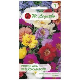 Portulaka wielkokwiatowa - mieszanka półpełna