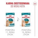 Royal Canin Senior Ageing 11+ — mokra karma w galaretce dla kotów starszych, 12 x 85 g