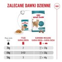 Royal Canin Senior Ageing 11+ — mokra karma w galaretce dla kotów starszych, 12 x 85 g
