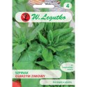 Szpinak Olbrzym Zimowy
