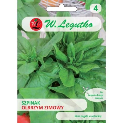 Szpinak Olbrzym Zimowy