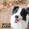 WILD FARM Paluszki Z Kaczką I Ryżem Przysmak Dla Psa 500G