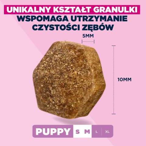 EUKANUBA Puppy&Junior Small/Medium Lamb&Rice 12kg