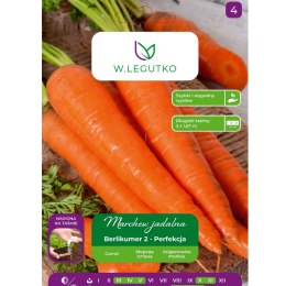Marchew jadalna Berlikumer 2 - śr. późna