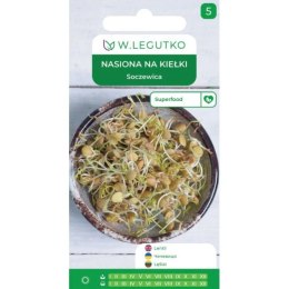 Nasiona na kiełki - soczewica