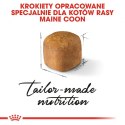 ROYAL CANIN Maine Coon Kitten 10kg