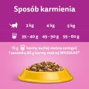 WHISKAS Sterile 1,4kg - sucha karma dla kotów po sterylizacji z kurczakiem