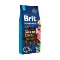 Brit Premium By Nature Sensitive Z Jagnięciną I Ryżem 15kg