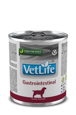 Farmina Vet Life Canine Gastrointestinal 300g