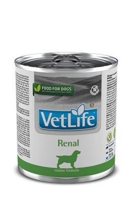 Farmina Vet Life Canine Renal 300g