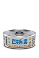 Farmina Vet Life Feline Convalescence 85g