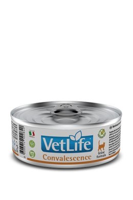 Farmina Vet Life Feline Convalescence 85g