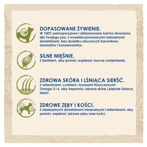 Purina Dog Chow Adult Z Kurczakiem 14kg