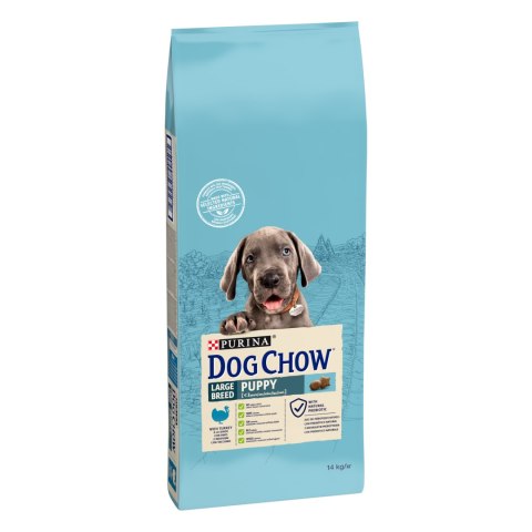 Purina Dog Chow Large Breed Puppy Z Indykiem 14kg