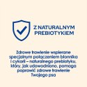 Purina Dog Chow Puppy Z Jagnięciną 14kg