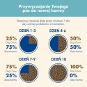 Purina Dog Chow Puppy Z Kurczakiem 14kg