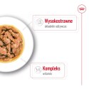 ROYAL CANIN Mini Adult 12x85g