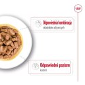 ROYAL CANIN Mini Ageing 12+ 12x85g