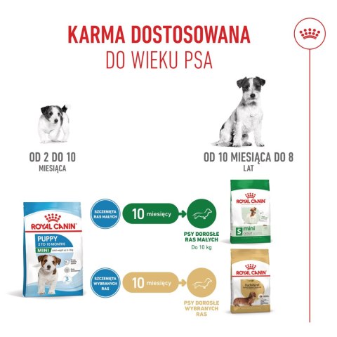ROYAL CANIN Mini Puppy 800g