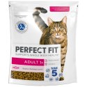 PERFECT FIT Adult 1+ Z Łososiem 750g