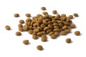 Purina Cat Chow Adult Tuna And Salmon 15kg