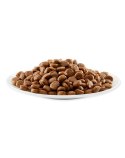 APPLAWS Complete Dry Adult Chicken 2kg