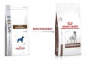 ROYAL CANIN Gastrointestinal Dog 15kg