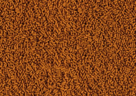 Tetra Pond Koi ColourandGrowth Sticks 1l