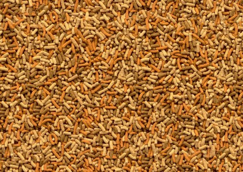 Tetra Pond Variety Sticks 4l