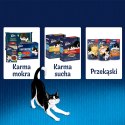 Felix Fantastic Łosoś W Galaretce 85g