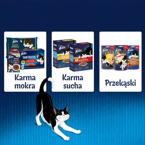 Felix Fantastic Łosoś W Galaretce 85g