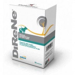 Geulincx Direne 32szt