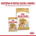 ROYAL CANIN Pomeranian Adult 3kg