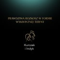 Sheba Classics Koktajl Drobiowy 85g