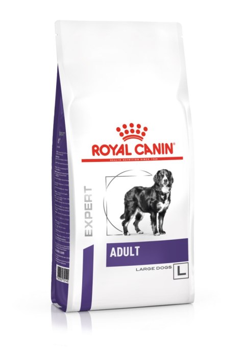 ROYAL CANIN Adult Large Dog 13kg
