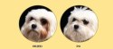 Nature's Protection Superior Care White Dogs Adult Small Breed With Lamb 1,5kg