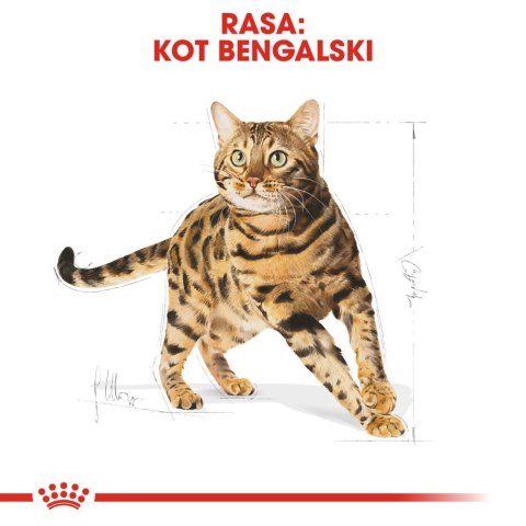 ROYAL CANIN Bengal Adult 2kg