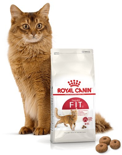 ROYAL CANIN Fit 32 2kg