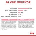 ROYAL CANIN Kitten 10kg