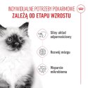 ROYAL CANIN Kitten 400g