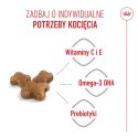 ROYAL CANIN Kitten 4kg