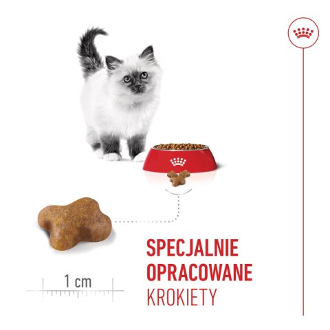 ROYAL CANIN Kitten 4kg