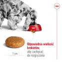 ROYAL CANIN Medium Adult 15kg