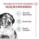 ROYAL CANIN Medium Puppy 15kg