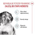ROYAL CANIN Medium Puppy 4kg