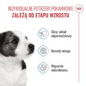 ROYAL CANIN Mini Puppy 4kg