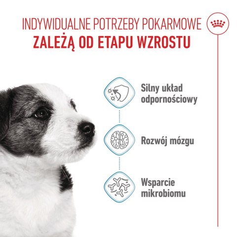 ROYAL CANIN Mini Puppy 4kg