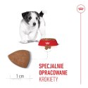 ROYAL CANIN Mini Puppy 8kg