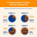 Purina Cat Chow Adult Łosoś I Zielona Fasolka 85g