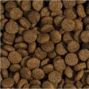 Tropidog Super Premium Adult Medium & Large Breed Kurczak I Łosoś 15kg